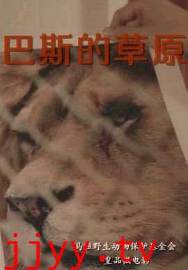 巴斯的草原