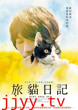 旅猫日记