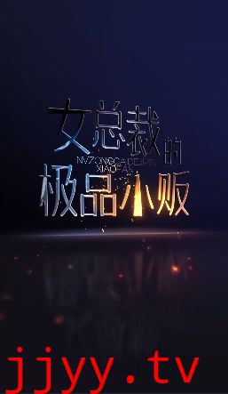 女总裁的极品小贩