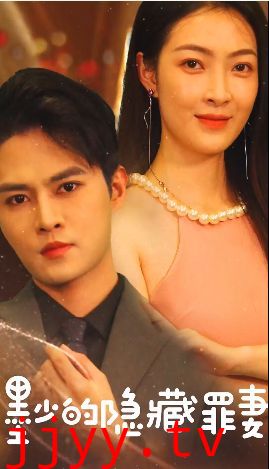 墨少的隐藏罪妻