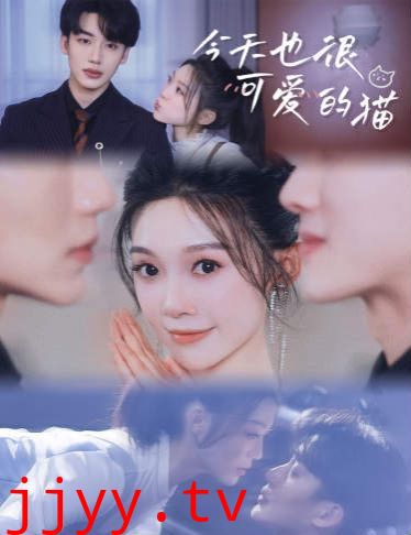 今天也很可爱的猫