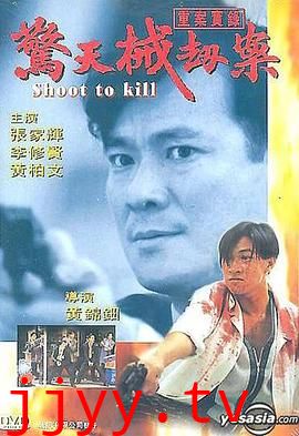 重案实录之惊天械劫案