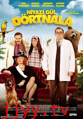 尼亚孜.古尔历险记