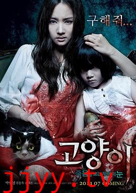 猫:看见死亡的双眼