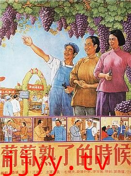 葡萄熟了的时候