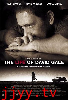 大卫·戈尔的一生