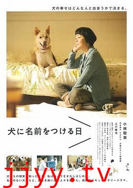 为你取名的那一天