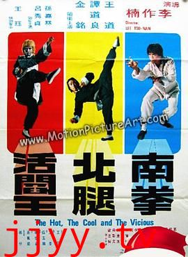 南拳北腿活阎王