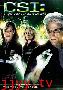 犯罪现场调查 第十二季