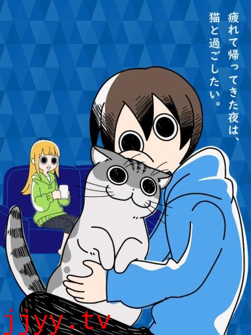 关于养猫我一直是新手