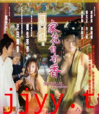 风月宝鉴之家花自有香