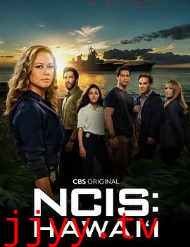海军罪案调查处：夏威夷 第二季