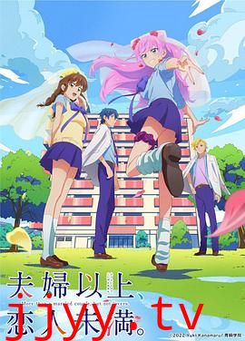 夫妇以上,恋人未满