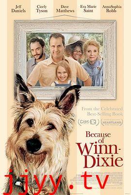 都是戴茜惹的祸