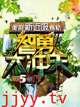 智勇大冲关 第五季