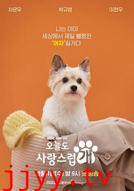 今天也很可爱的狗