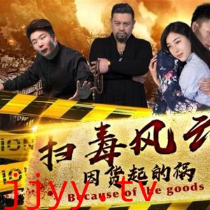 扫毒风云之因货起的祸