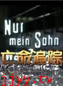 亡命追踪(国语版)