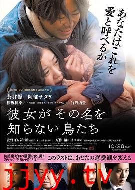 她不知道名字的那些鸟儿