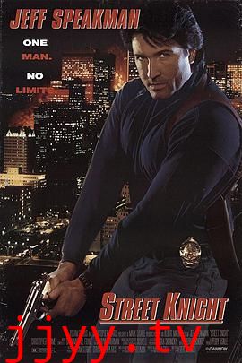 街头武士(国语版)