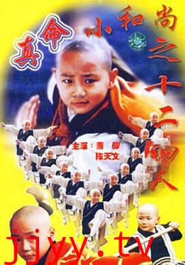 真命小和尚之十二铜人