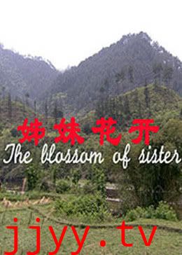 姊妹花开