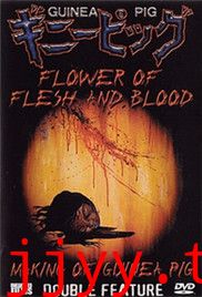 豚鼠：血肉之花