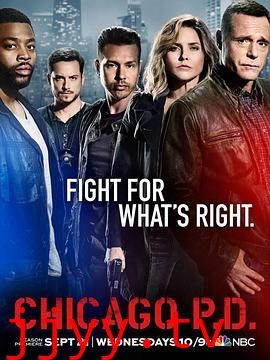 芝加哥警署 第四季