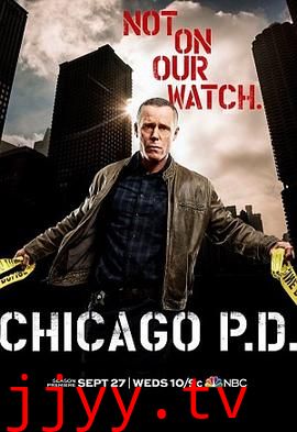 芝加哥警署 第五季