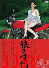 青春H-狼的时代