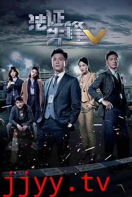 法证先锋5