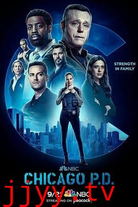芝加哥警署 第十季