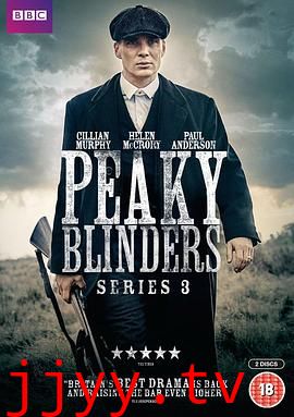 浴血黑帮 第三季