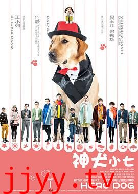 神犬小七 第一季