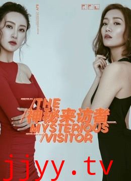 神秘来访者