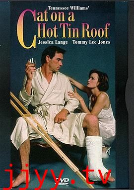 热铁皮屋顶上的猫