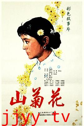 山菊花