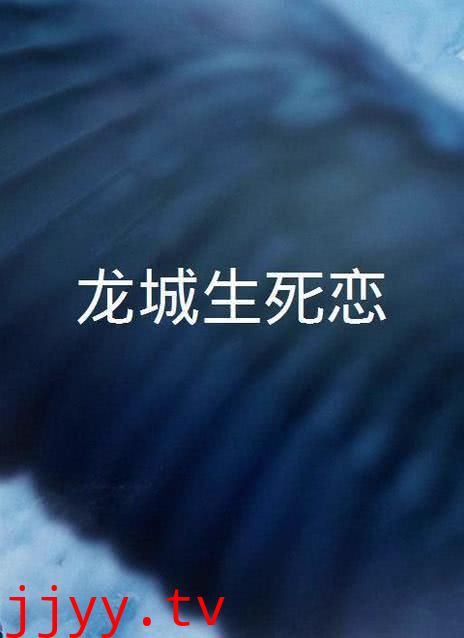 龙城生死恋