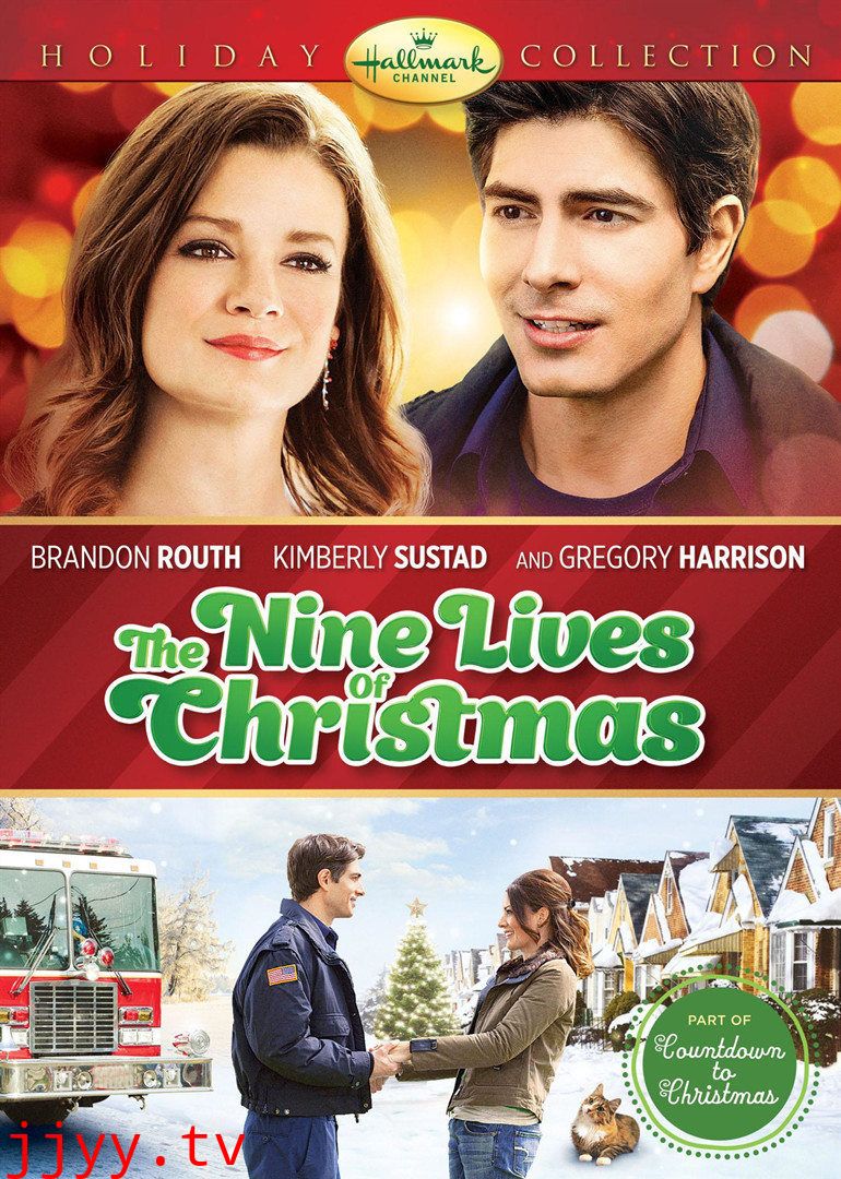 快乐的猫咪情缘