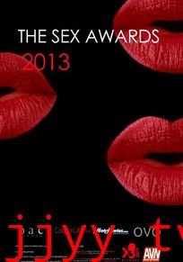 2013艳星颁奖典礼