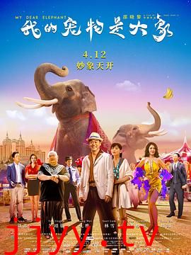 我的宠物是大象