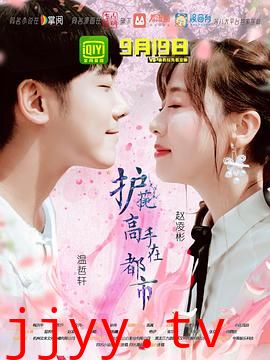 护花高手在都市