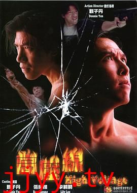 亚洲警察之高压线