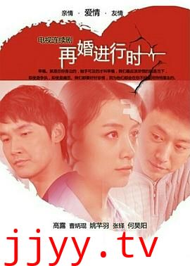 再婚进行时