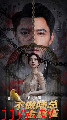 掌中玩物不做陆总金丝雀