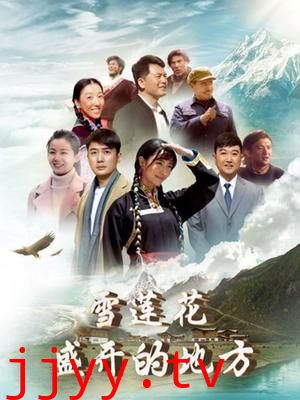 雪莲花盛开的地方