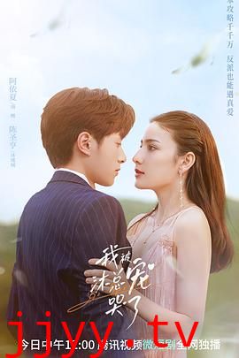 我被沐总宠哭了