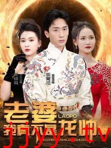 老婆我真不是龙帅啊