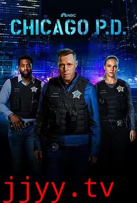 芝加哥警署 第十一季