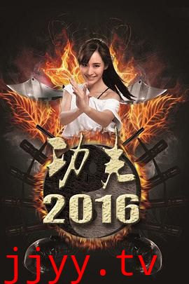 功夫2016